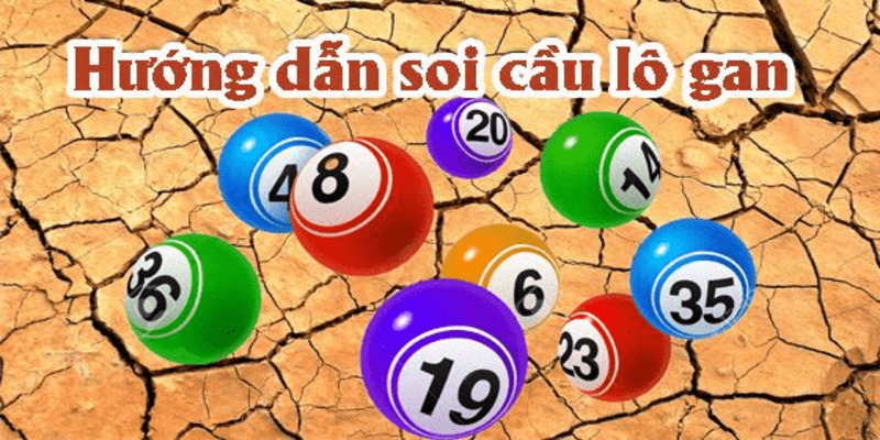 Tên gọi khác “lô gan”